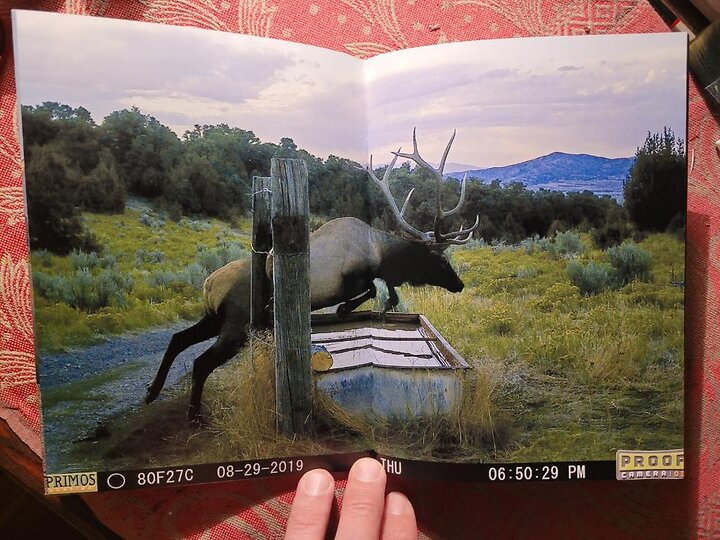 ASMR4 v10 Trailcam Photographs by Bill & Tony