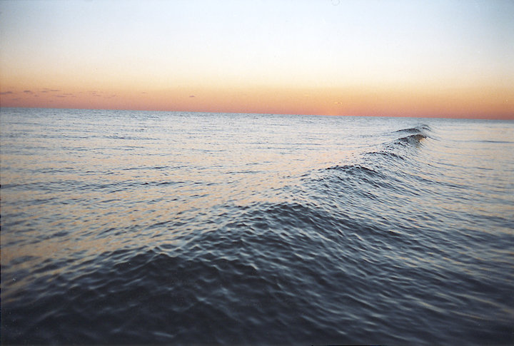 Single Wave