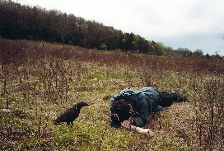 After Failure with Bird