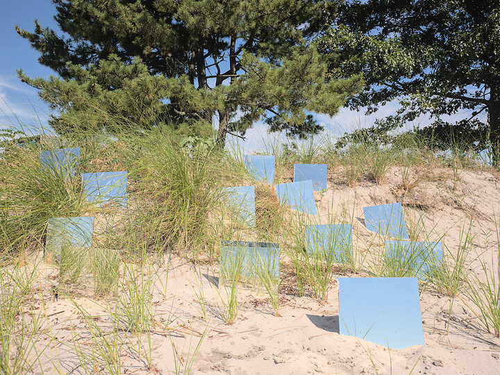 Mirrors on Beach with Trees and Sky behind