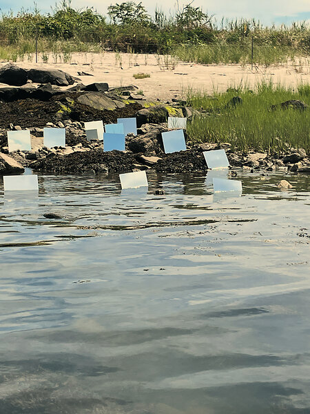Mirrors Shore Vertical