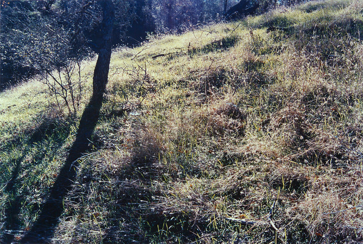 Hillside