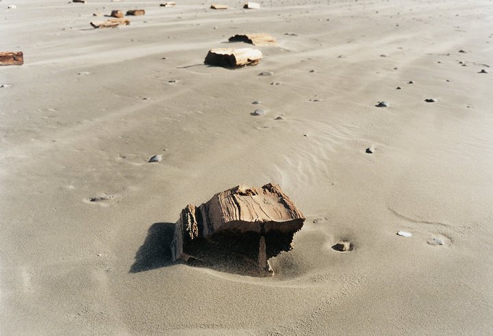 Log