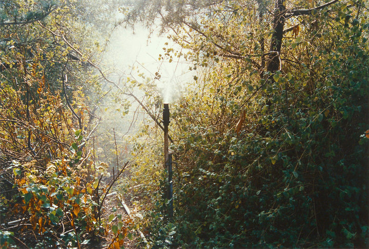 Sprinkler