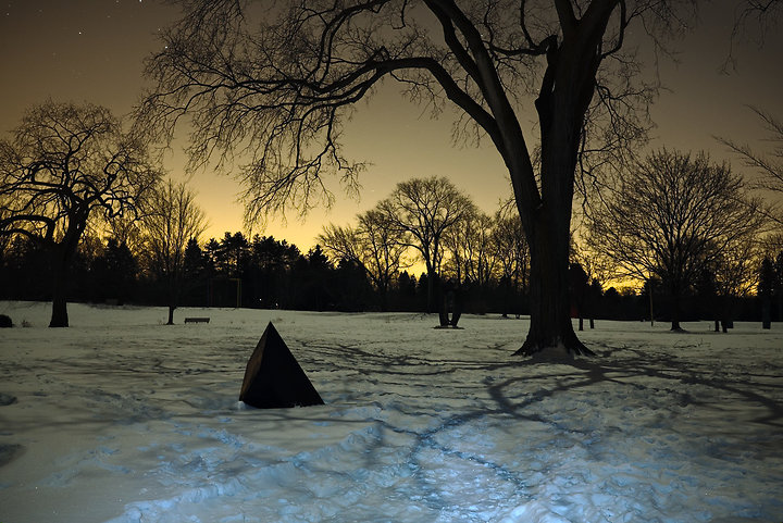 Image of Elm, February 10, 2014 (Clark)