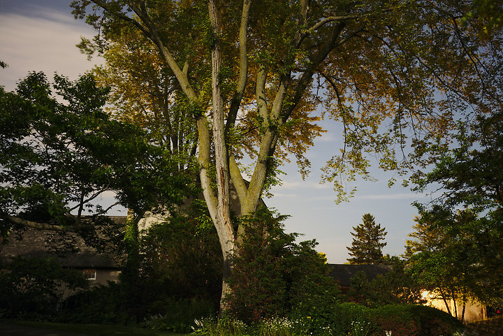 Old Shed, July 12, 2014 (Clark)