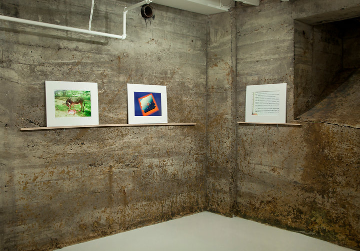 Southwest corner main gallery, Law of Dissipation, Tops Gallery