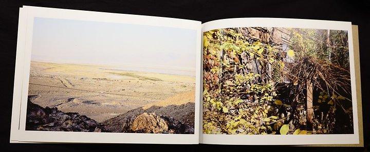 Dan Torop, Lone Garden, Lone Lake, ASMR4v3, pp. 14-15