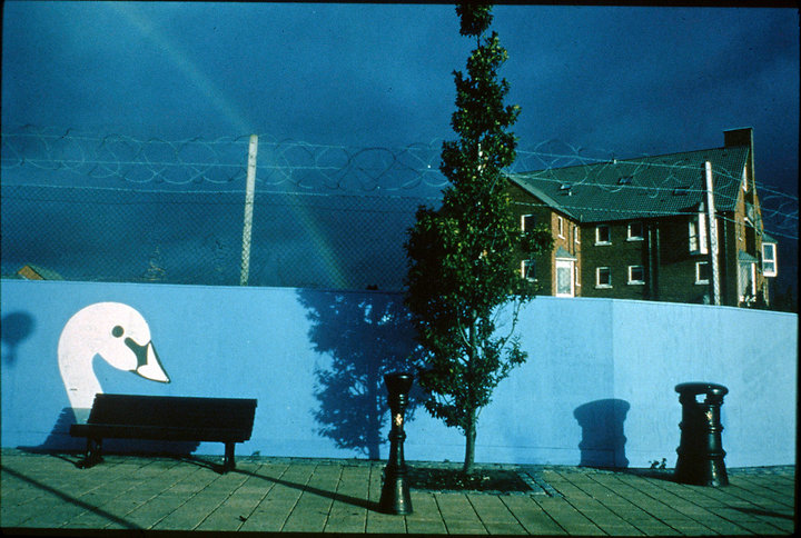 Rainbow/Swan