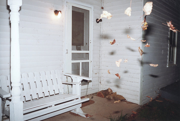 Falling Leaves