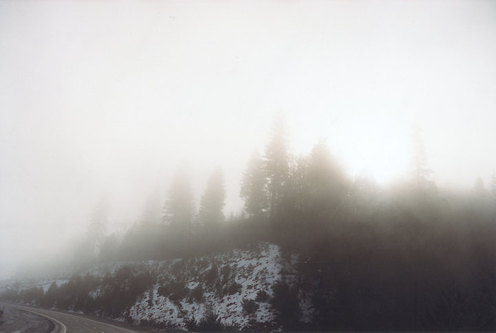 Misty Curve