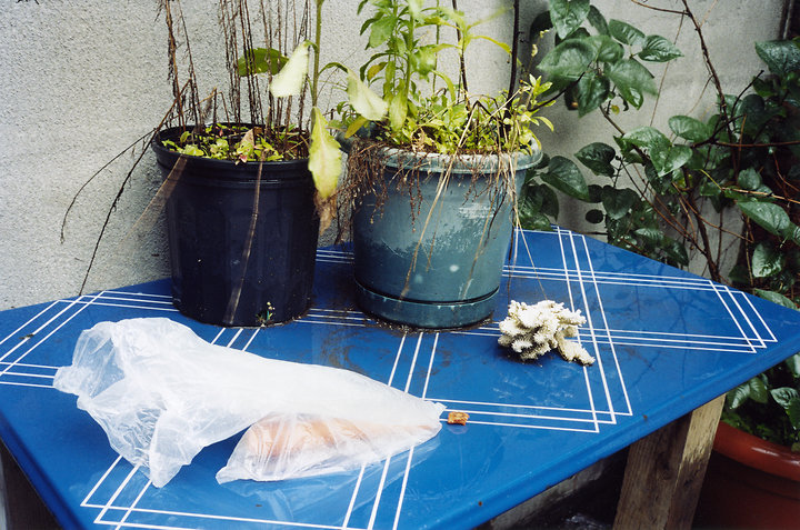 Blue Table