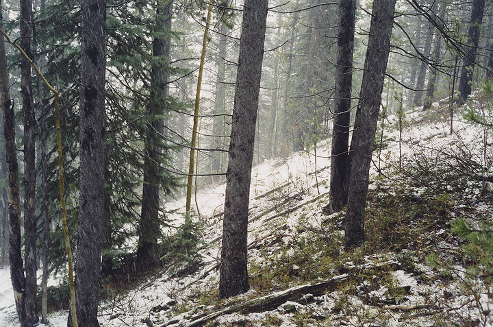 Monkey Mountain Snowstorm