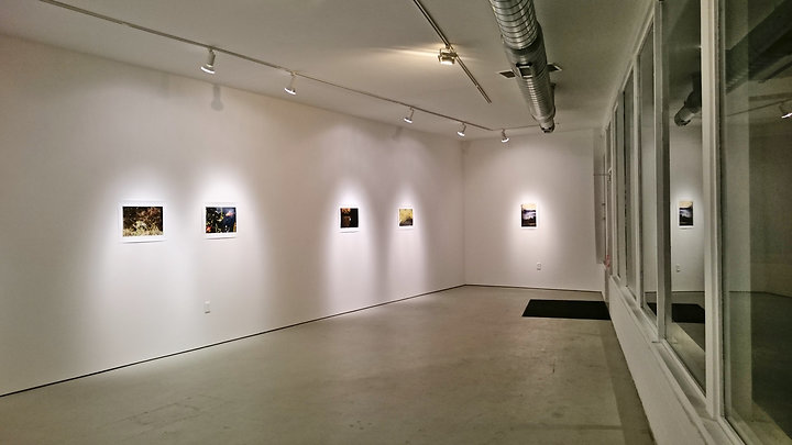 Sublunary World - installation view