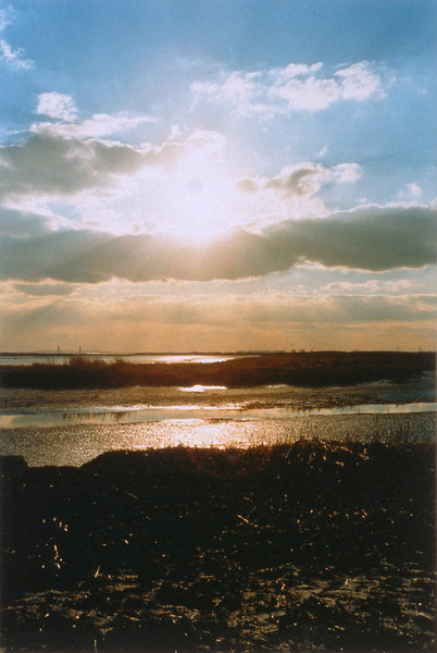 Layered Landscape/Red Landscape