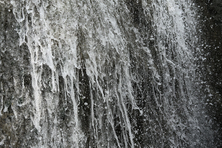 Albumen