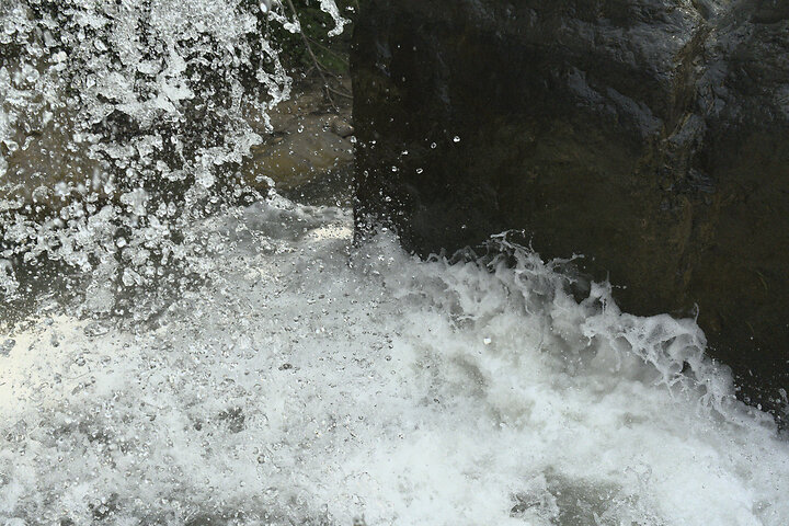 Foam