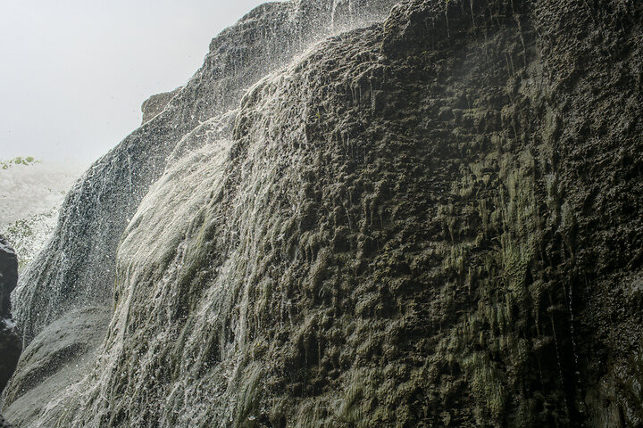 Rooster Tail